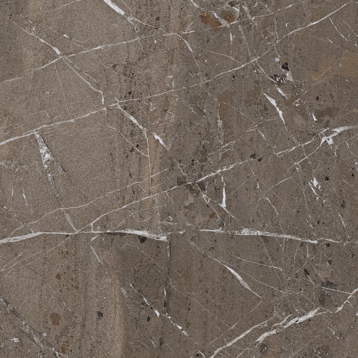 Billede af The Rock Breccia Imperiale 120x120 cm (RM - MAT)