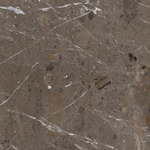 Billede af The Rock Breccia Imperiale 120x120 cm (RM - MAT)