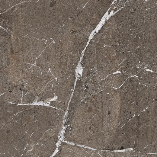 Billede af The Rock Breccia Imperiale 60x60 cm (RM - MAT)