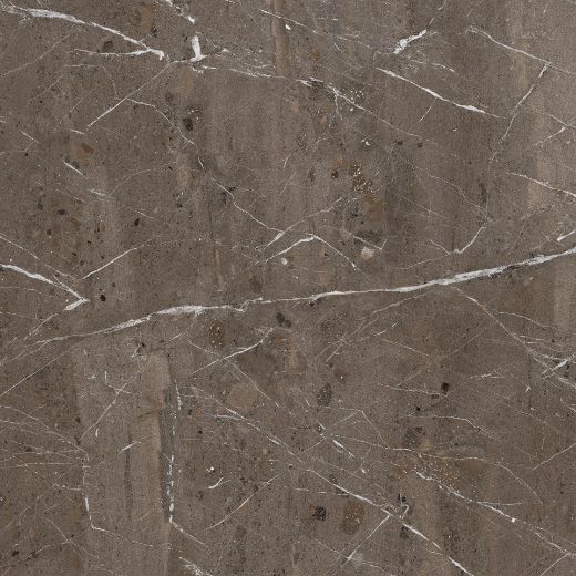 Billede af The Rock Breccia Imperiale 60x60 cm (RM - MAT)