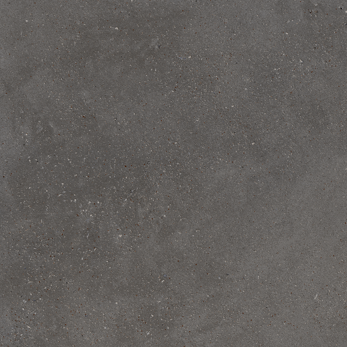 Blox Dark Grey 60x60 cm (RM - Mat) │ Colour Ceramica A/S