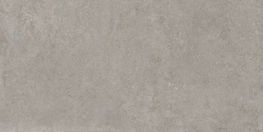 Billede af Stoncrete Argento 60x120 cm (R - Ru)