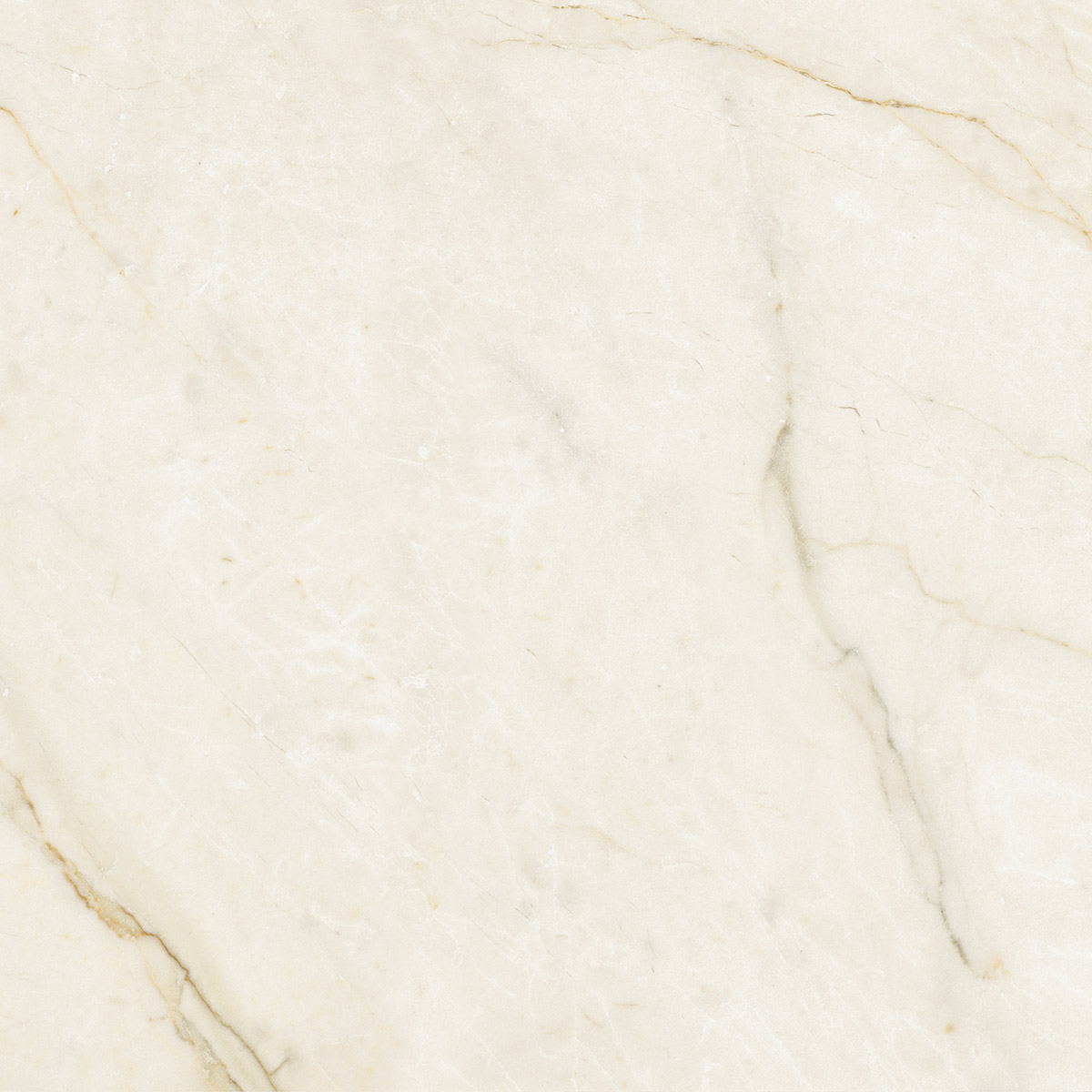 Oro Cream Ivory 60x60 cm (RM - Mat) │ Colour Ceramica A/S