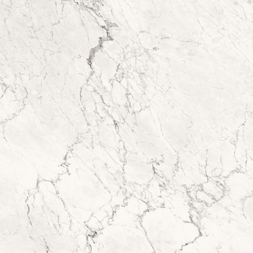 Billede af Aesthetica Calacatta Extra White 120x120 cm (RM - Mat)