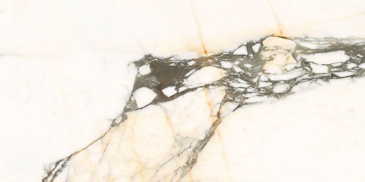 Billede af Aesthetica Calacatta Paonazzo 60x120 cm (LPM - Matpoleret)