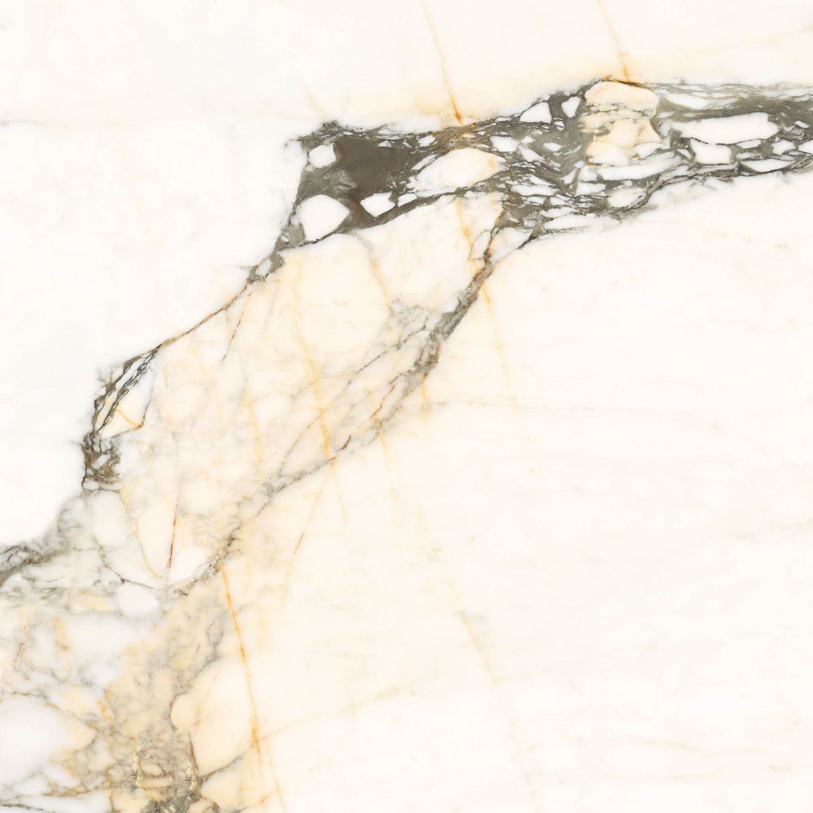 Billede af Aesthetica Calacatta Paonazzo 120x120 cm (LPM - Matpoleret)