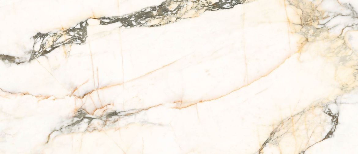 Billede af Aesthetica Calacatta Paonazzo 120x278 cm (LPM - Matpoleret)