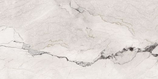 Billede af Aesthetica Camouflage 60x120 cm (LP - Poleret)