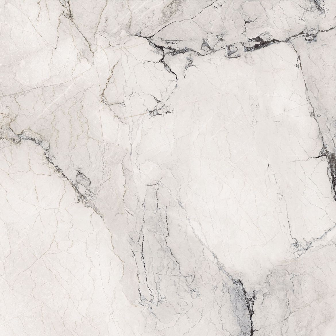 Billede af Aesthetica Camouflage 120x120 cm (LP - Poleret)