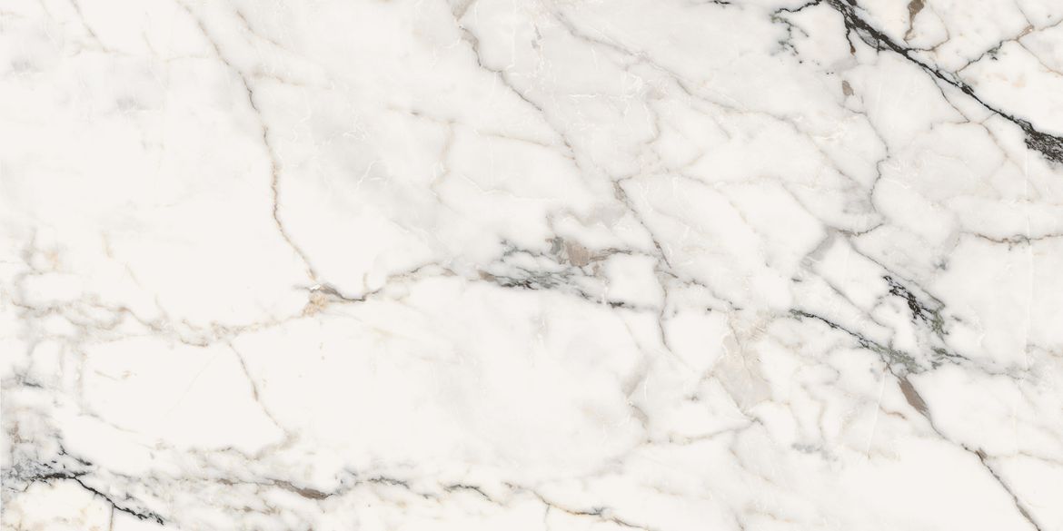 Billede af Aesthetica Paonazzetto 60x120 cm (RM - Mat)