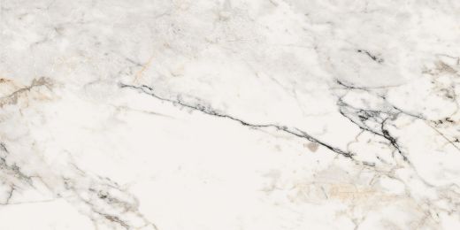 Billede af Aesthetica Paonazzetto 60x120 cm (LP - Poleret)