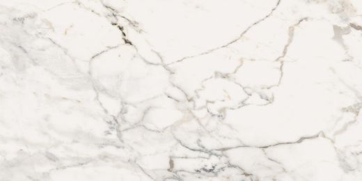 Billede af Aesthetica Paonazzetto 60x120 cm (LP - Poleret)