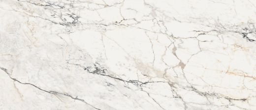 Billede af Aesthetica Paonazzetto 120x278 cm (LP - Poleret)