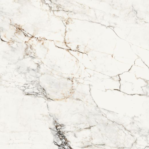 Billede af Aesthetica Paonazzetto 120x120 cm (RM - Mat)