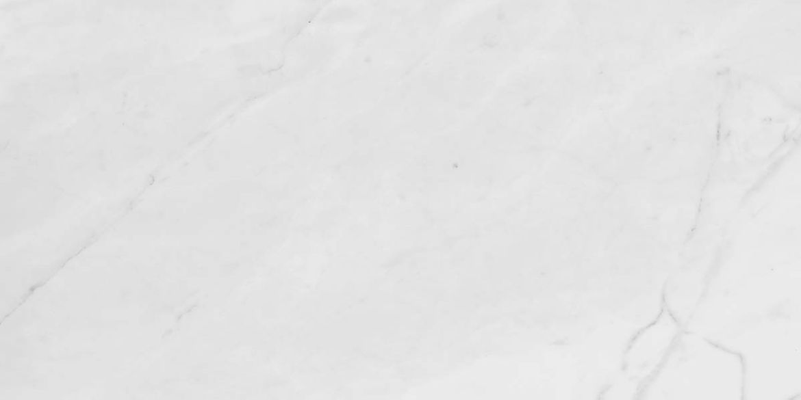 Billede af Trex3 White 60x120 cm (RM - Mat)