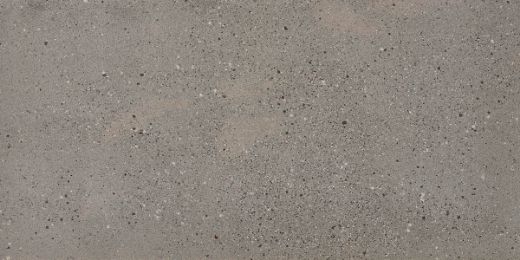 Billede af Overcome Grey 60x120 cm (LLL - Højglanspoleret)