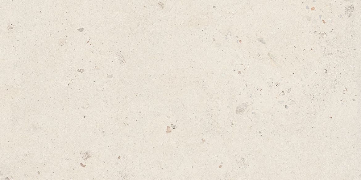 Billede af Suite Stone Shell 60x120 cm (RM - Mat)