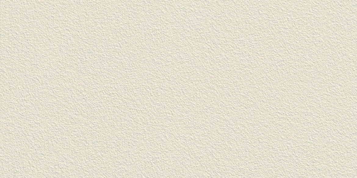 Billede af CC Pro Off-White Mat Uglaseret Ru 297x597 mm