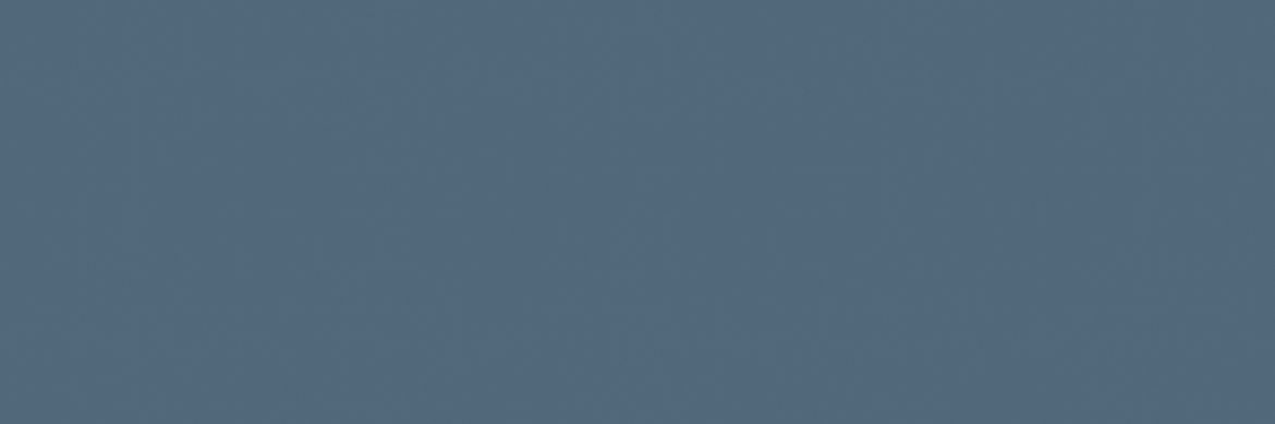 Billede af CC Pro Navyblå Mat Glaseret Gulv/Væg 97x297 mm