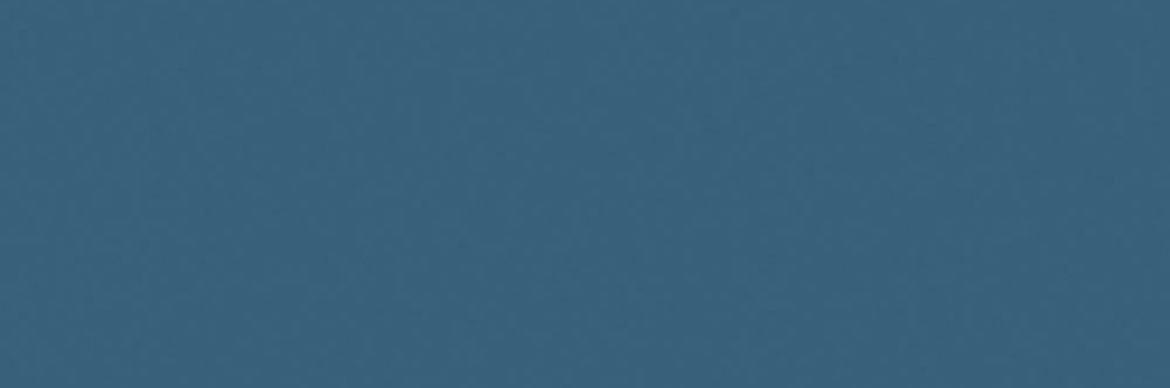 Billede af Croma China Mat Væg 10x30 cm