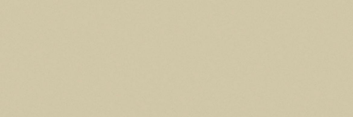 Billede af Croma Coin Blank Væg 10x30 cm