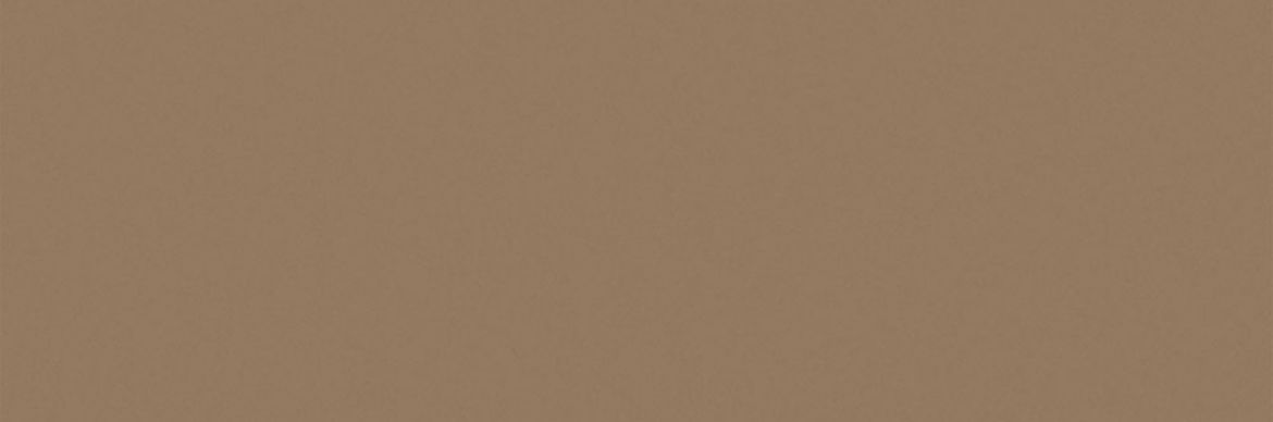 Billede af Croma Flagstone Mat Væg 10x30 cm