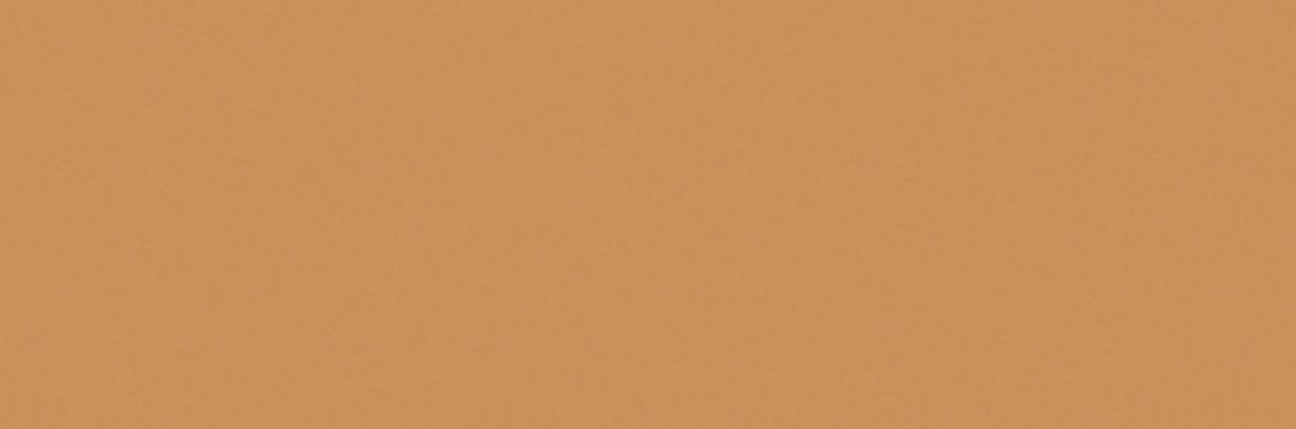 Billede af Croma Frond Blank Væg 10x30 cm