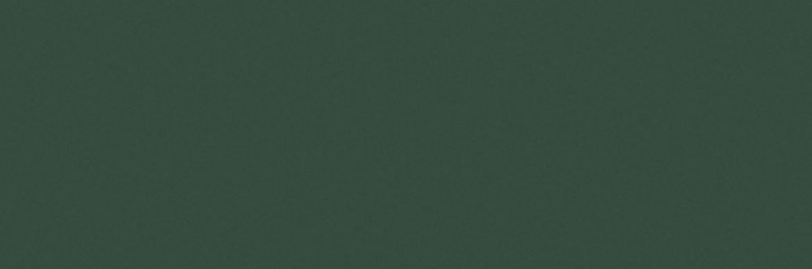 Billede af Croma Kelp Mat Væg 10x30 cm