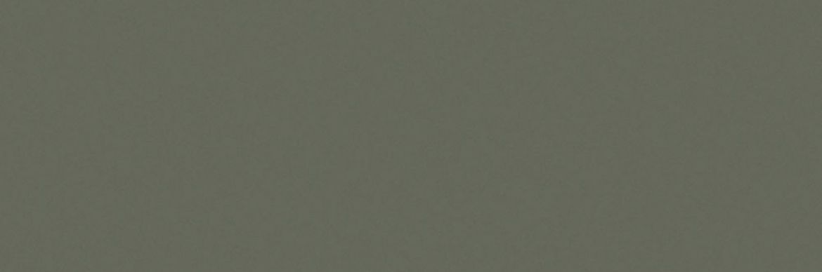 Billede af Croma Spruce Blank Væg 10x30 cm