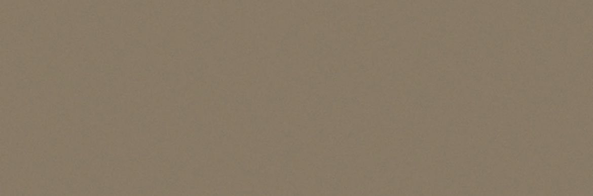 Billede af Croma Oyster Mat Væg 10x30 cm