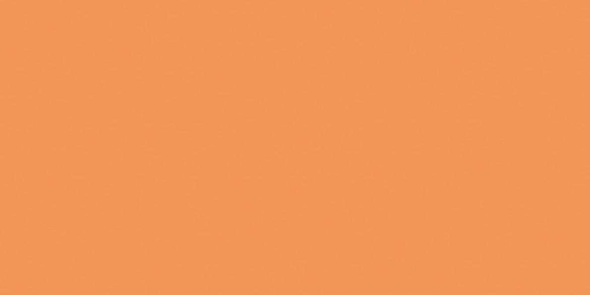 Billede af Mono Orange Mat Gulv/Væg 97x197 mm